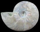 Silver Iridescent Ammonite - Madagascar #51507-1